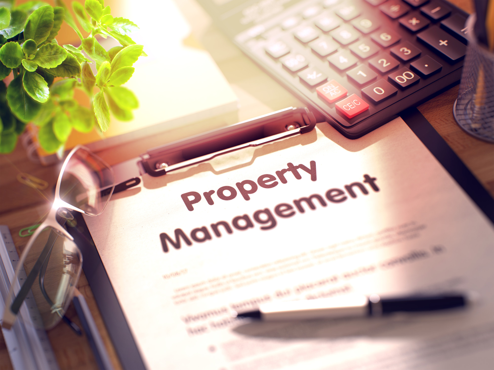 5 Types of Property Management Services in Madeira Beach